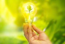 -cursos gratuïts coettc efinovatic